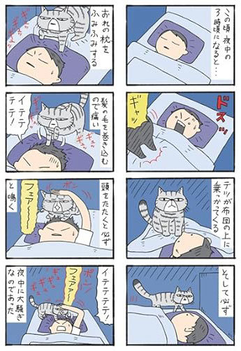 コロコロ毛玉日記試し読み4